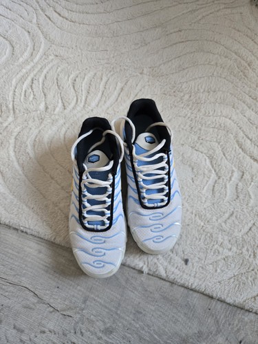 Nike air max plus bleu - nike,