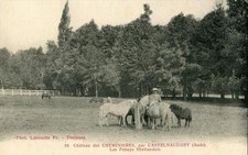 CPA 11 CHATEAU DES CHEMINIERES PRES CASTELNAUDARY LES PONEYS SHETLANDAIS (ANIMEE