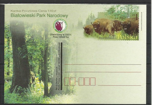 Bison bisonte pologne - bison,