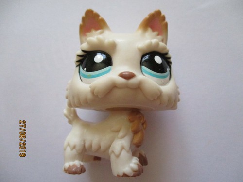 Petshop chien westie 2059 - petshop,