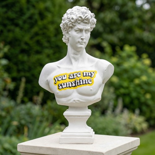 Statue pop art david - pop, buste