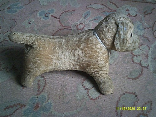 Très ancien chien - , en