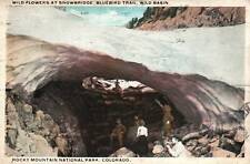 CPA - USA - Rocky Mountain