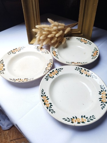 Assiettes creuses modèle - -,