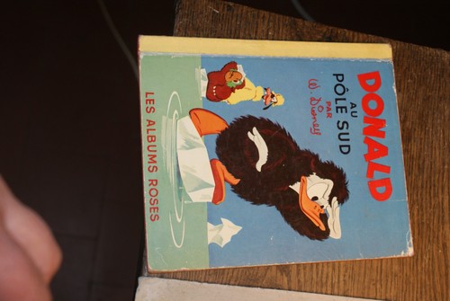 Donald pole sud par walt - donald,