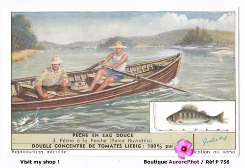 Pêche eau douce - en,