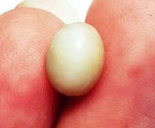 Pierre Gemme Naturelle Oeil De