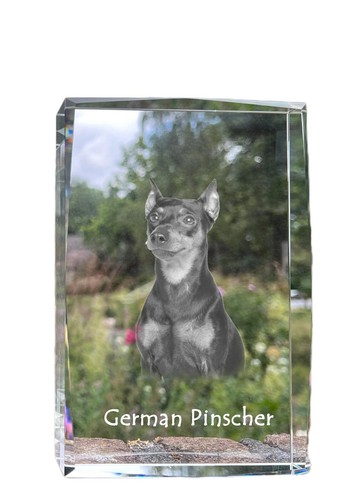 Pinscher allemand cristal avec