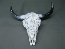 Crâne de Buffle Taureau Avec