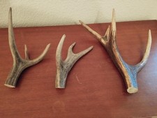 3 BOIS CERF 26/27/40CM