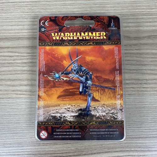 Tzeentch sorcier lord - sorcier,