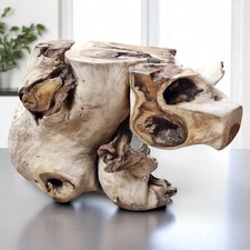 Buffet En Racine De Suar En