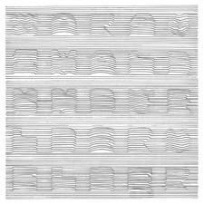 Sara Oswald & Feldermelder