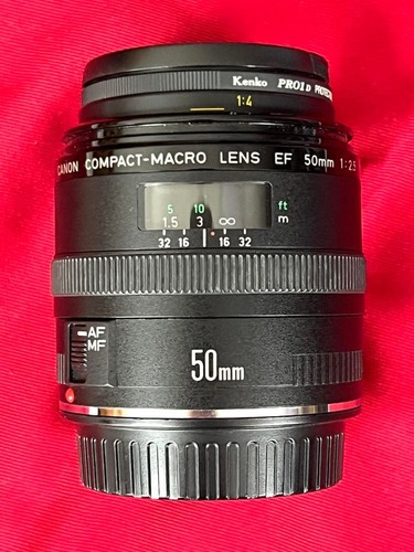 Canon camera compact macro - camera,
