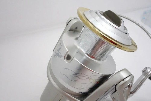 Daiwa team - daiwa,