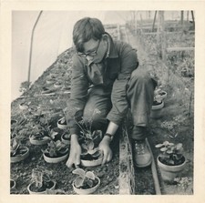 apprenti travail serre nettoyage découpe de verre 3 photos photographie