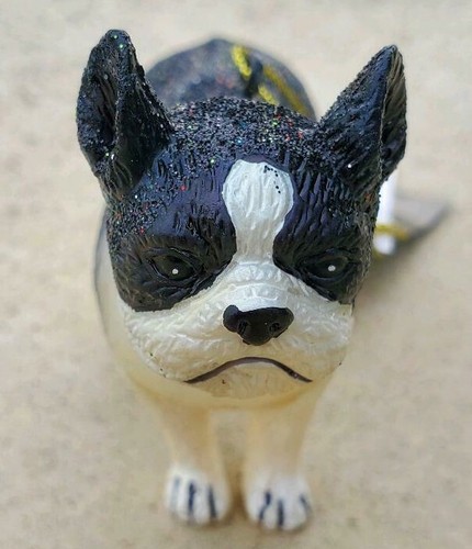 Robert stanley boston terrier - robert,