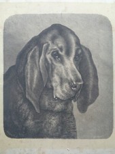 GRANDE GRAVURE ANCIENNE Chasse