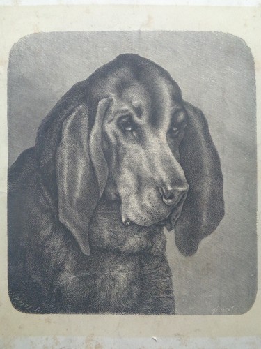 Grande gravure ancienne chasse - gravure,