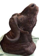 taxidermie tete de buffle naturalisée décoration ancien trophée de chasse