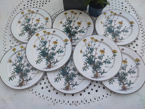 Sublime grandes assiettes - , 8