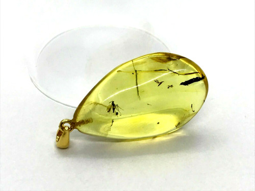 Pendentif ambre insecte - pendentif,