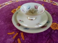 Tasse Soucoupe Assiette Porcelaine Schirnding Bavaria Décor Fleur Coloré 3 Pièce