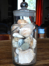 lance ancien bocal à bonbons rempli de coquillages fossiles et minéraux   C D C