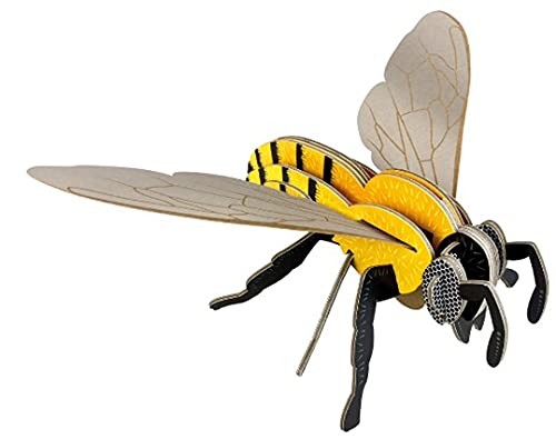 Mini build honey - bee,