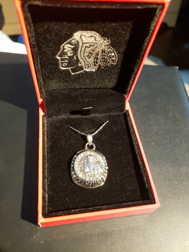 Chicago blackhawks 2015 - chicago,