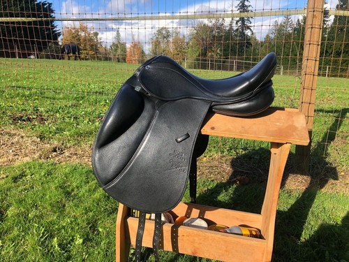 Stubben genesis dressage