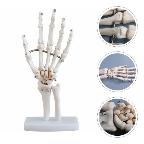 Hand skeleton model training - skeleton,