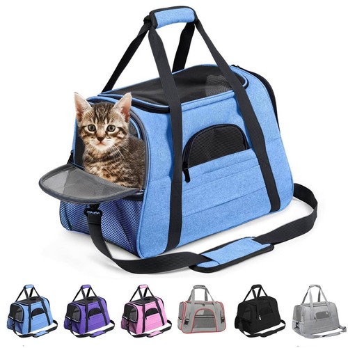 Sac transport chat - chat,, et