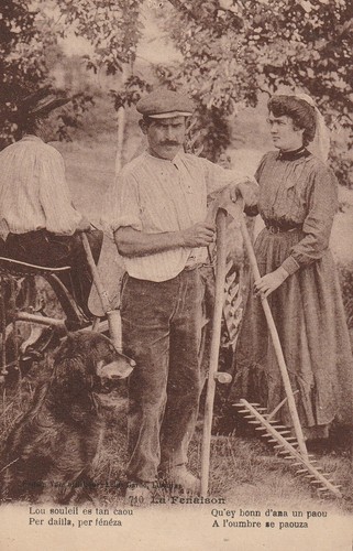 Fenaison outils et gros - fenaison,