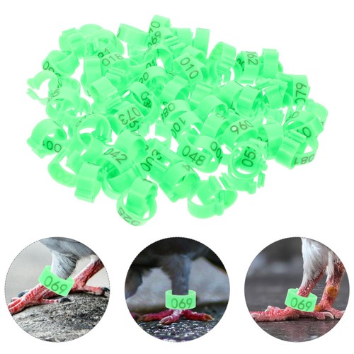 100 pcs anneaux pattes - 100,