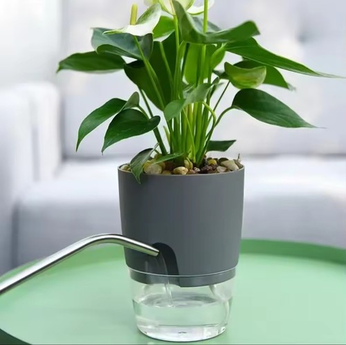 Pot fleur auto - fleur, auto-arrosant