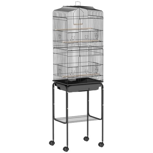 Cage oiseaux sur - oiseaux,