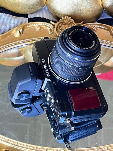 Olympus wood grip with - e,