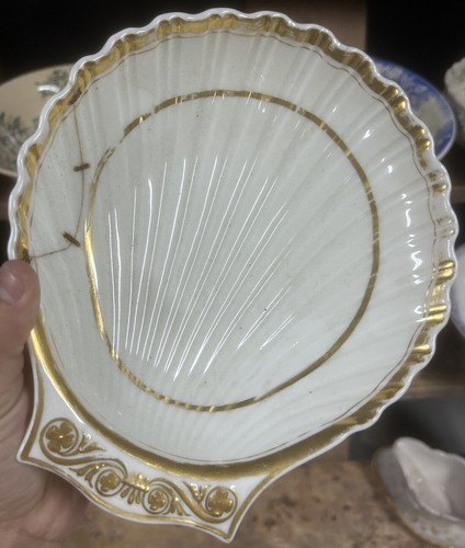 Porcelaine coquille saint - coquille,