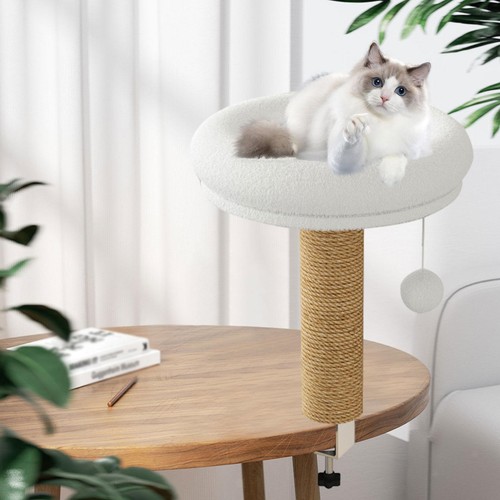 Lit pour chat - pour,
