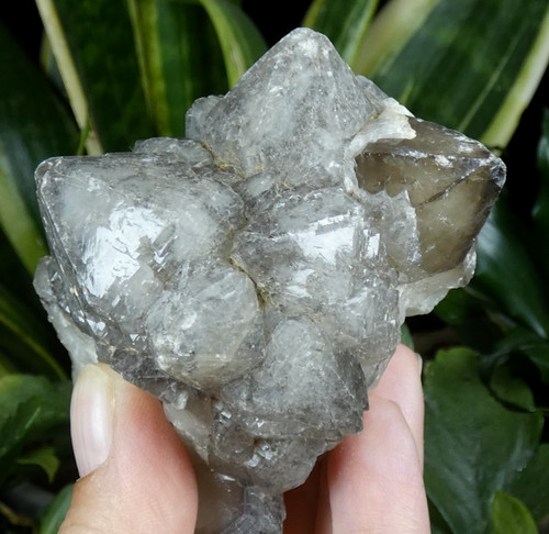 Quartz fumé périmorphe