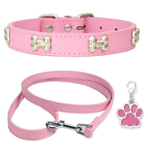 Colliers pour chiens collier - chiens,