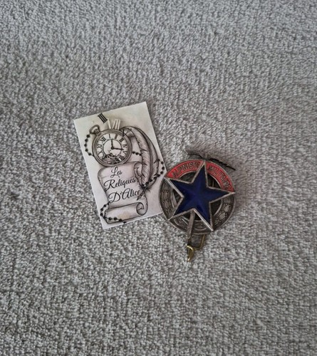 Insigne pucelle brevet - insigne, /