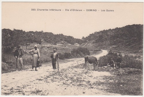 Cpa ile oleron domino - domino,