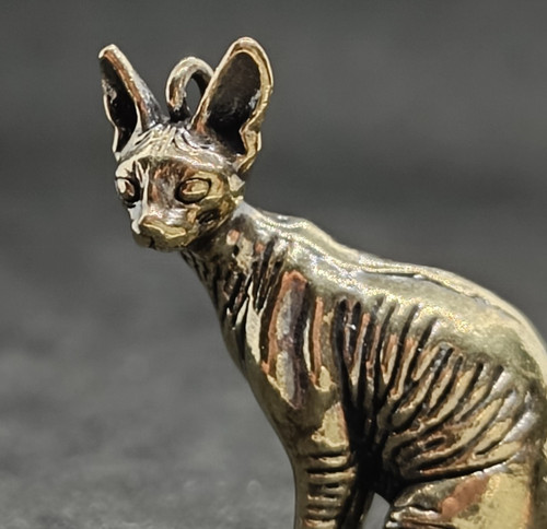 Miniature chat sphynx - miniature,