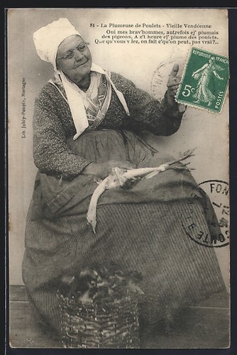 Cpa plumeuse poulets - de,