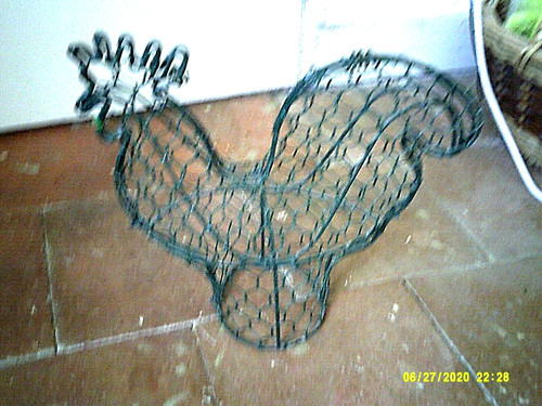 Poule grillage fil - et, de