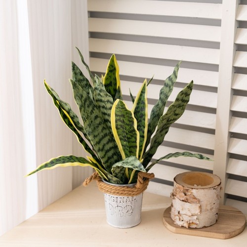 Plante serpent artificielle - plante,