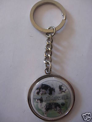 Porte clés métal chien - -,
