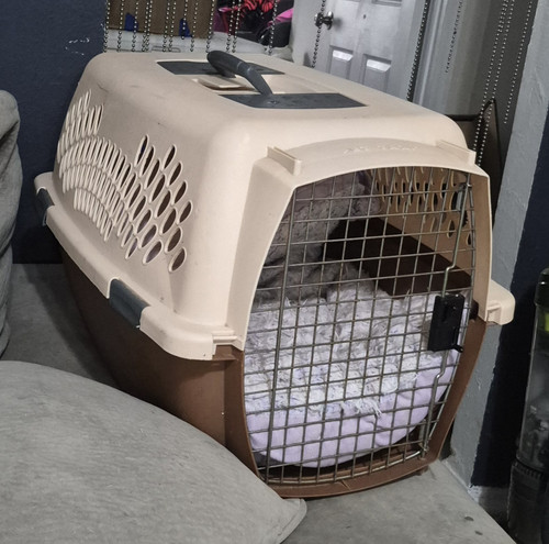 Petmate vari kennel large - petmate,